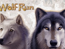 Rizk 50 Free Spins on Wolf Run Slot for Registration